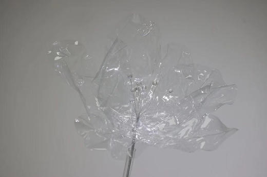 果冻花【运费自理】 商品图9