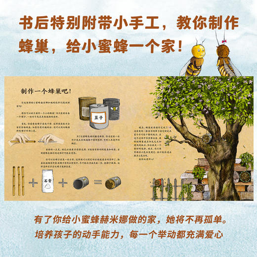 小蜜蜂赫米娜 哪里才是你的家？ 商品图6