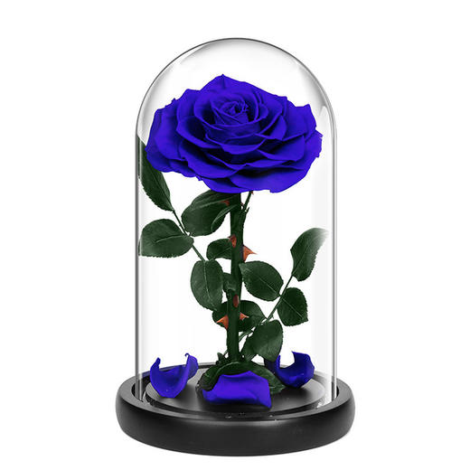 【永生花】幽幽独语 玻璃罩礼物七夕情人节创意礼品 商品图3