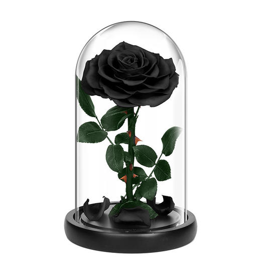 【永生花】幽幽独语 玻璃罩礼物七夕情人节创意礼品 商品图4