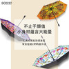 艺术晴雨伞 光年之外 商品缩略图3
