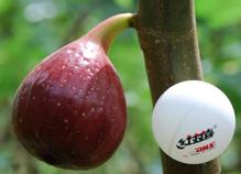 吉果果 商品图5