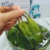 有机海带苗400克/袋 商品缩略图2