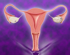 身为女人，一定要呵护好子宫的内环境，排毒素+祛寒湿，非艾灸莫属! 