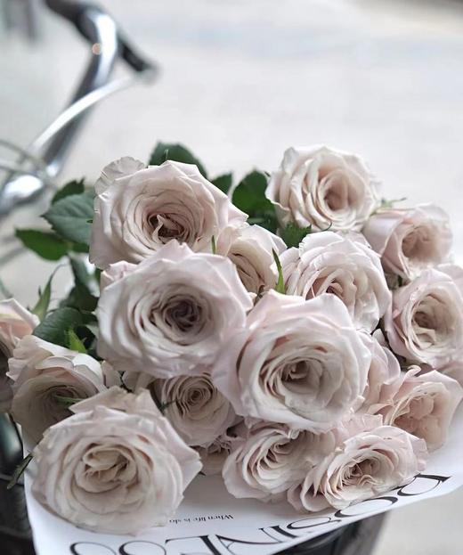 【昆明玫瑰】曼塔，20支/扎  A级 商品图0