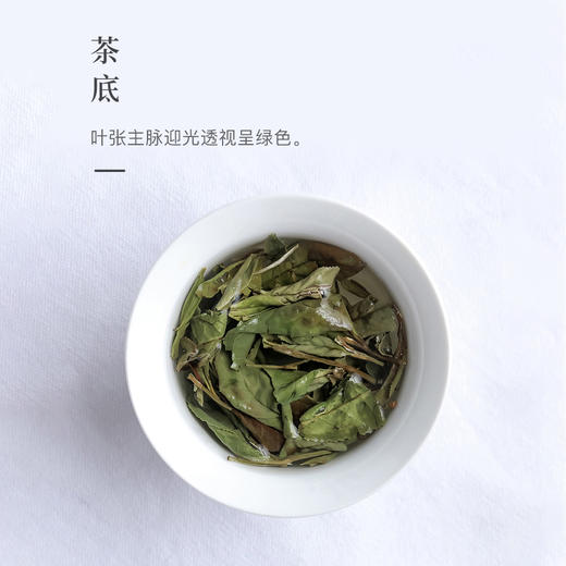 【茗悦】2019年寿眉 商品图3
