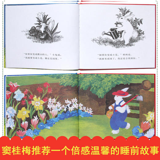 逃家小兔绘本 信谊世界图画书 赫德绘 少儿卡通动漫图画书 儿童故事书3-6岁幼儿园硬壳装睡前早教 非注音版一年级二年级明天出版社 商品图3