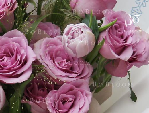 冷美人 19枝紫玫瑰＋3朵郁金香花束 商品图1