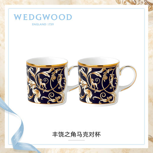 【6F】WEDGWOOD威基伍德丰饶之角马克对杯骨瓷马克杯水杯欧式对杯 商品图0