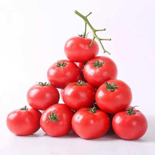 焕然有籽西红柿盒装 4斤左右 商品图1