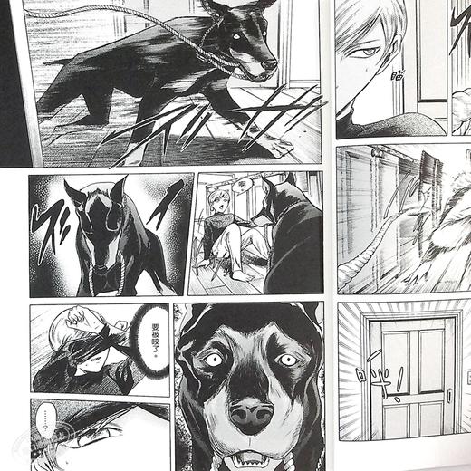 【中商原版】漫画 米奇与达利 恶童物语 4 佐野菜见 台版漫画书 角川 商品图6