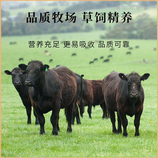 Mr.West西牛先生 安格斯牛谷饲原切牛腩块750g*2 商品图1