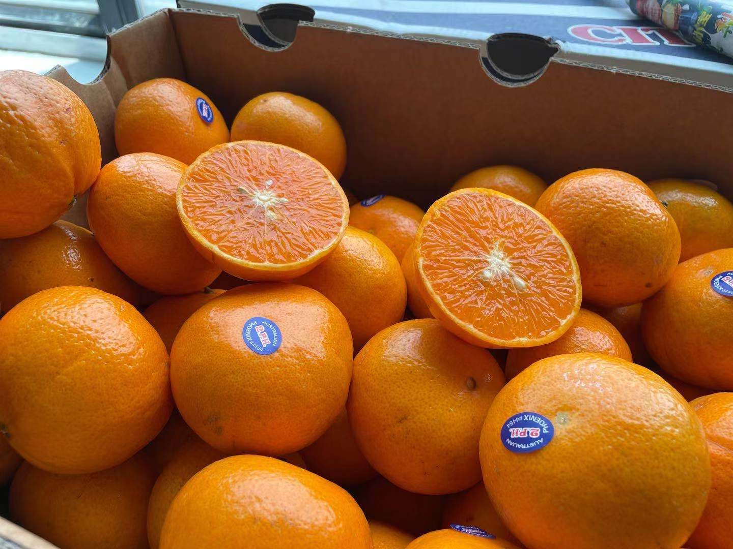 【2ph澳橘】 进口澳橘 橘味浓郁 甜度越来越高 细嫩无渣 水分足 尝鲜