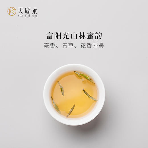 【天庆永】 茗茶  白毫银针白茶 散茶60g/罐 茶叶 商品图3