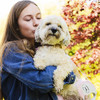 福莱希自动伸缩牵引绳狗链子遛狗绳中型小型犬 商品缩略图1