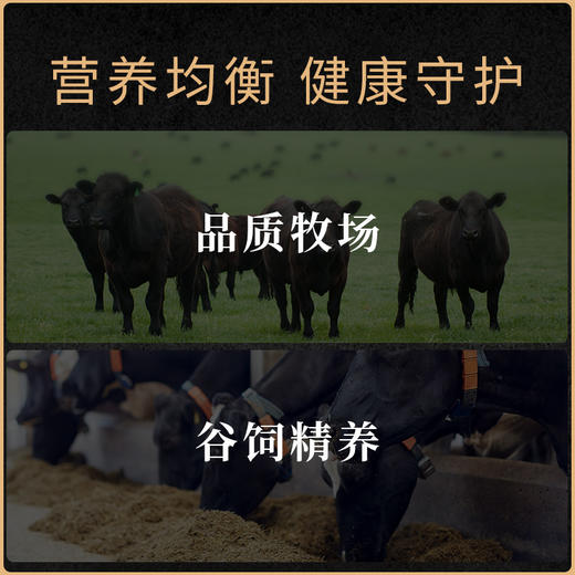 Mr.West西牛先生 安格斯谷饲肥牛片250g*4 商品图1