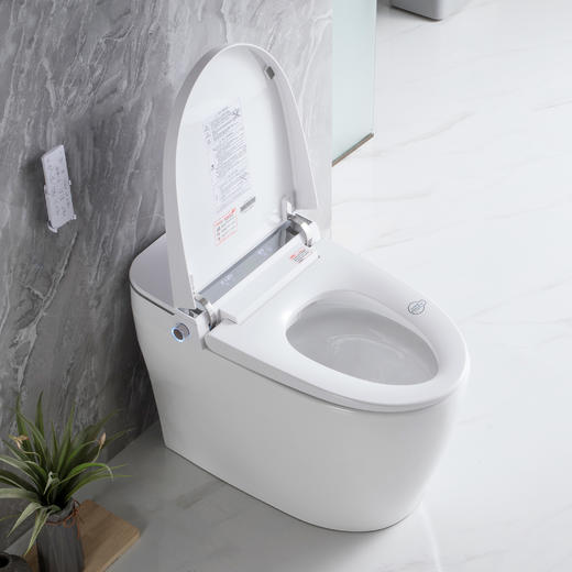 2201L马桶 商品图3
