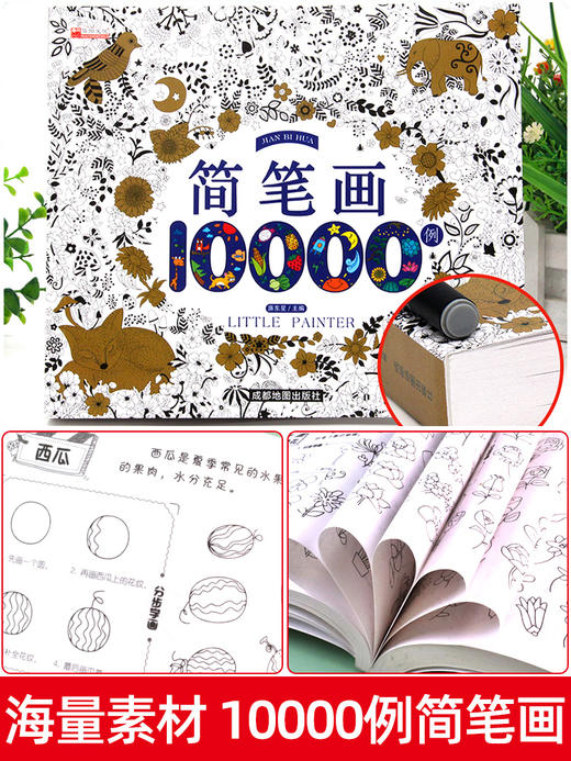 （现货到仓）儿童简笔画大全儿童画入门 启蒙10000例 幼儿园 一步一步动物人物儿童画画绘画教材手绘本 画画书 美术 小学生5000例 幼师教师用书 商品图2