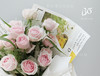 花草间的一抹胭脂 19枝淡粉雪山玫瑰花束 商品缩略图3
