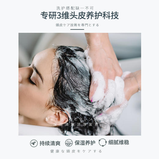 潘朵丝日本研发高端控油蓬松去屑控油洗发润发套装 商品图4