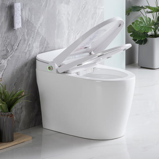 2201L马桶 商品图2