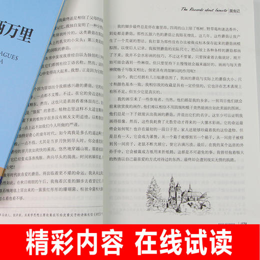 四年级必读经典书目 全套9册 草原上的小木屋 青鸟书秘密花园海底两万里小学版总有一天会长大小学生阅读的课外书籍正版书老师推荐 商品图3