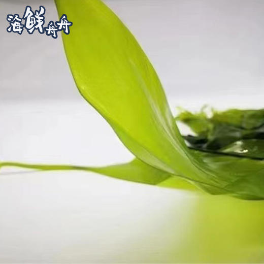 有机海带苗400克/袋 商品图1
