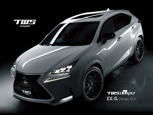 TWS 锻荣社 锻造轮圈 总目录  总代合作 正品保证 商品图1