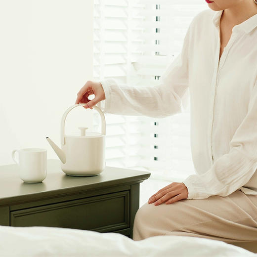 小提茶壶 | 家用小型电水壶 自动断电 烧水泡茶专用 商品图1