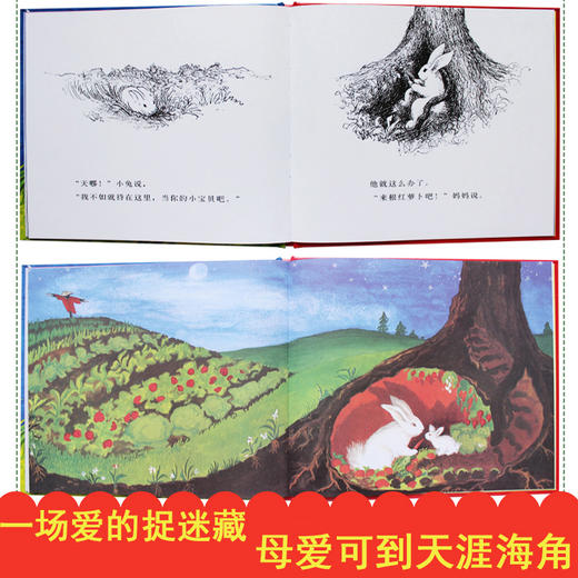 逃家小兔绘本 信谊世界图画书 赫德绘 少儿卡通动漫图画书 儿童故事书3-6岁幼儿园硬壳装睡前早教 非注音版一年级二年级明天出版社 商品图2