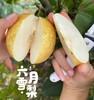高山种植 六月雪梨5斤装 商品缩略图0