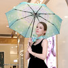 爆款伞 舞 花海 商品缩略图1