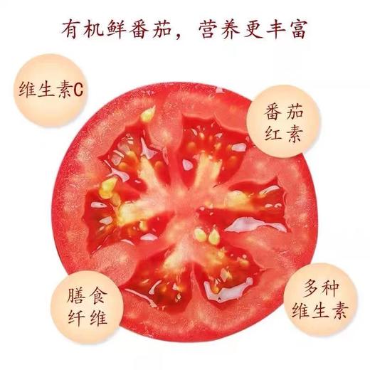 航.应物有机番茄沙司116g 商品图1
