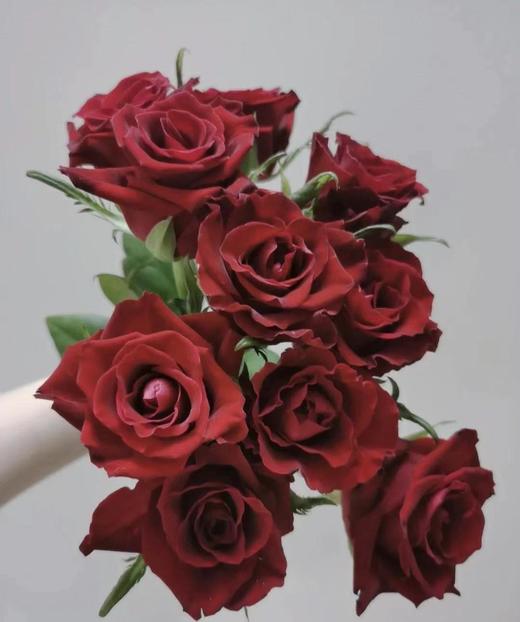 活动中昆明玫瑰传奇20支扎bc级