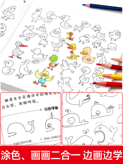 （现货到仓）儿童简笔画大全儿童画入门 启蒙10000例 幼儿园 一步一步动物人物儿童画画绘画教材手绘本 画画书 美术 小学生5000例 幼师教师用书 商品图4