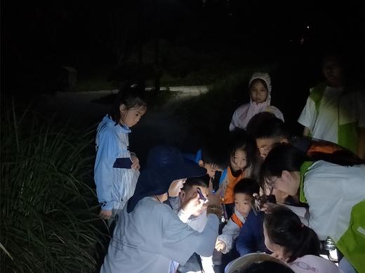 【作废】FM93&FM104.5《夜观昆虫记》 商品图0