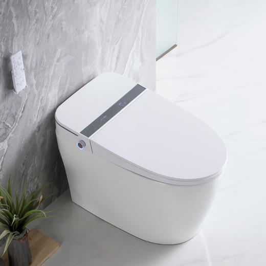 2201L马桶 商品图1