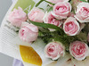花草间的一抹胭脂 19枝淡粉雪山玫瑰花束 商品缩略图1