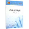 矿物化学处理/李正要 商品缩略图0
