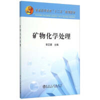 矿物化学处理/李正要