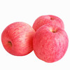 陕西顶端果业洛川红富士苹果礼盒15枚70mm 小果 水果礼盒 商品缩略图3