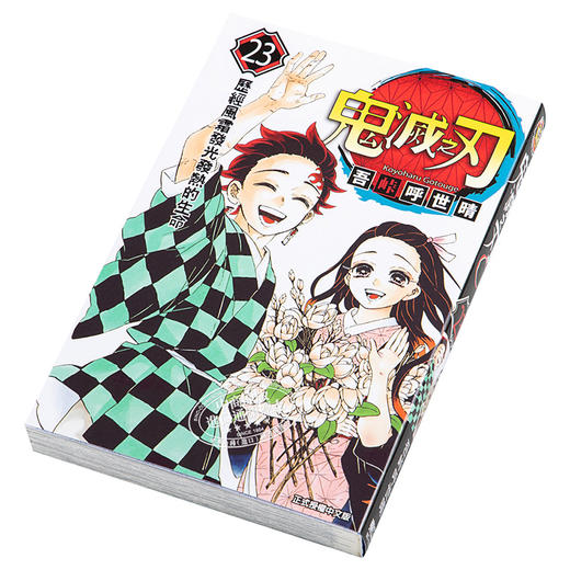 【中商原版】漫画 鬼灭之刃23完 吾峠呼世晴 台版漫画书 东立出版 商品图2