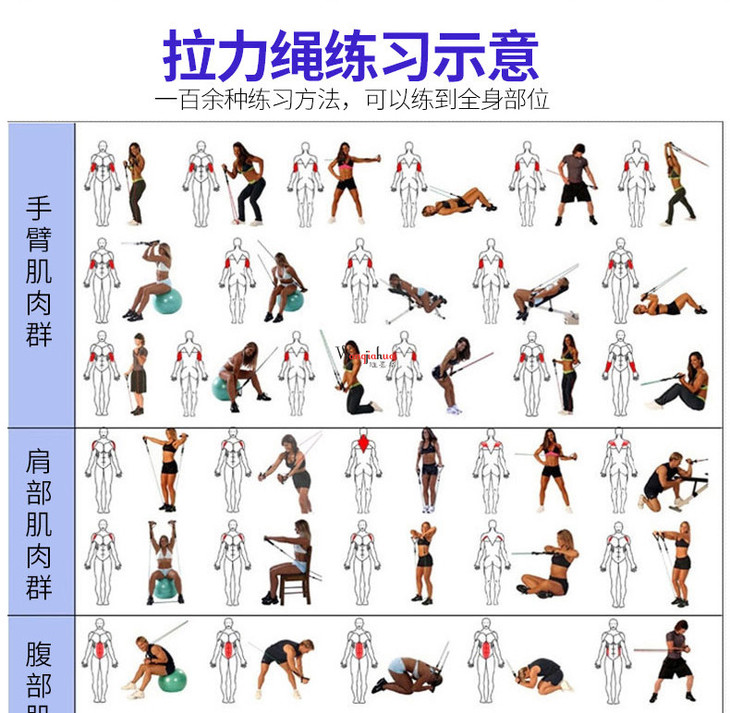 【辅助装备】11件套拉力器健身拉力绳阻力弹力带套装