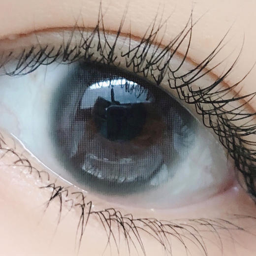 Bebebest Aomurcyan（日抛） 商品图0