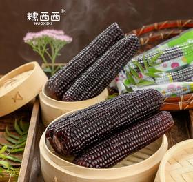 糯西西黑珍珠花青素黑玉米