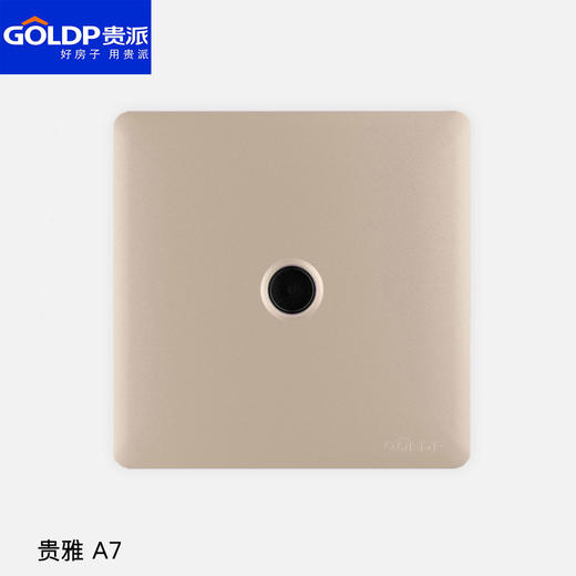 贵派面板 贵雅 A7金 电视 商品图0