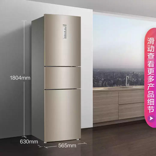 海尔（Haier）冰箱BCD-223WDPT 商品图1