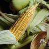 有机鲜糯玉米 | 合作生产* Organic waxy corn | Coproduction 商品缩略图3