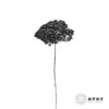 永生绣球 | 黑色魅力 商品缩略图7