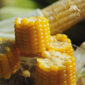 有机鲜糯玉米 | 合作生产* Organic waxy corn | Coproduction